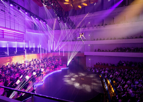 "ALIVE" A Circus Symphony 2022 - Artem Lyubanevych: Aerial Pole | © Obrasso Concerts